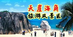 鸡巴操骚逼视频网站海南三亚-天崖海角旅游风景区