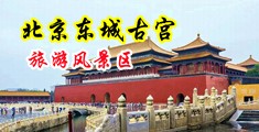 中年熟妇在线播放视频试看中国北京-东城古宫旅游风景区
